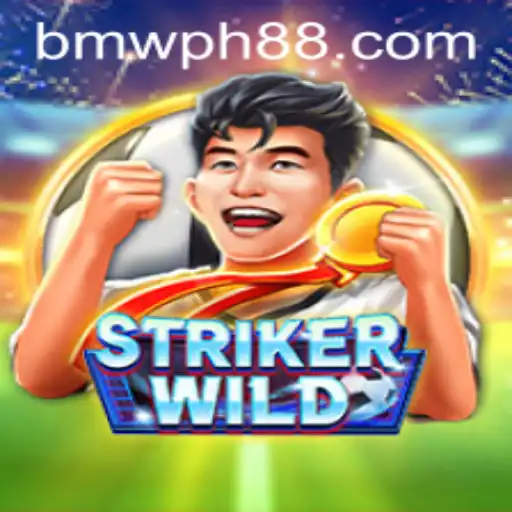 Exploring the Thrilling World of StrikerWILD